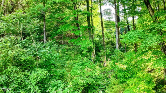 1320 Sugar Bowl Road, Chuckey, TN 37641