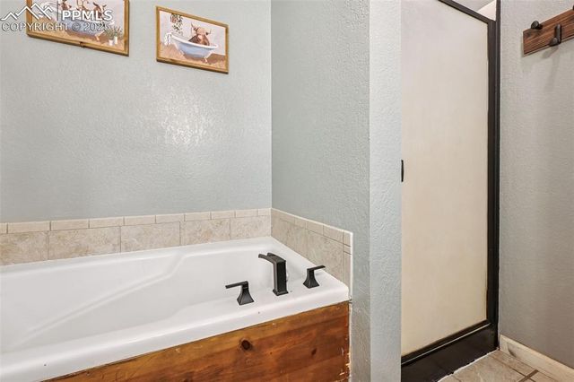 31 Wallace Drive, Florissant, CO 80816