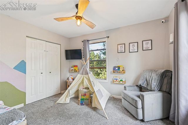 31 Wallace Drive, Florissant, CO 80816