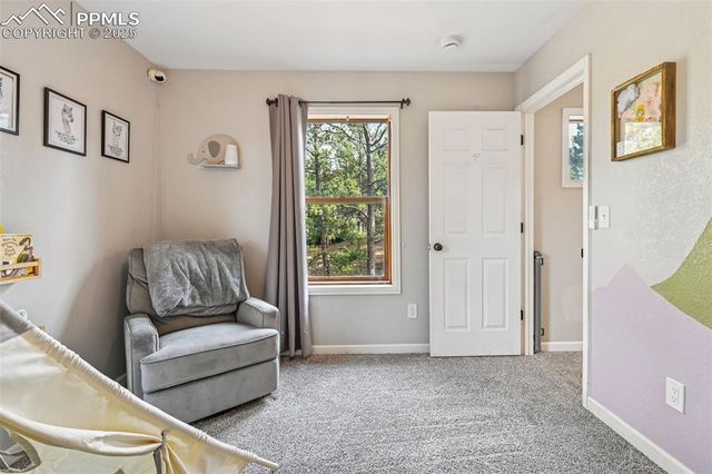 31 Wallace Drive, Florissant, CO 80816