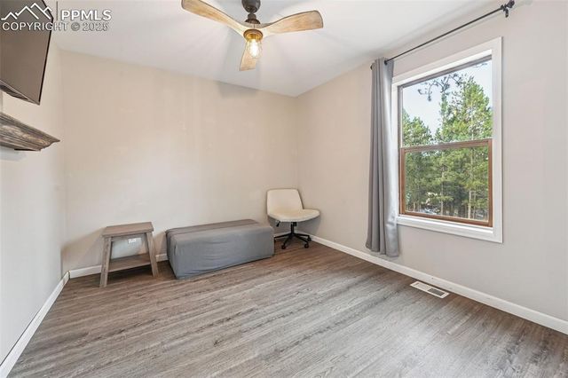 31 Wallace Drive, Florissant, CO 80816