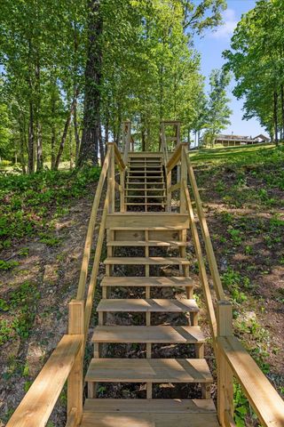 15025 May Road, Sale Creek, TN 37373