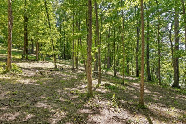 15025 May Road, Sale Creek, TN 37373