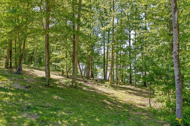 15025 May Road, Sale Creek, TN 37373