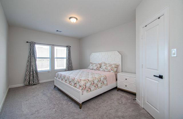 32023 Cary Douglas Drive, Hockley, TX 77447