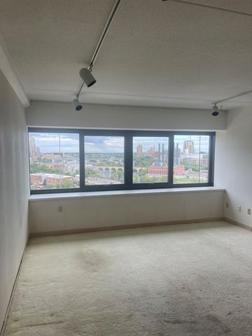 1920 S 1st Street 1302, Minneapolis, MN 55454