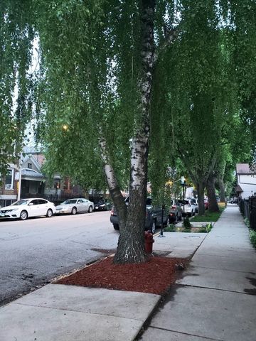 3624 S Parnell Avenue, Chicago, IL 60609