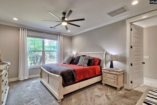 220 Jake Meetze Road, Chapin, SC 29036