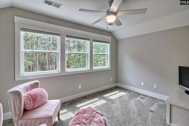 220 Jake Meetze Road, Chapin, SC 29036