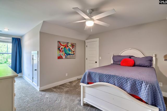 220 Jake Meetze Road, Chapin, SC 29036
