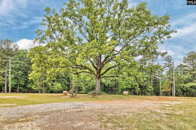220 Jake Meetze Road, Chapin, SC 29036