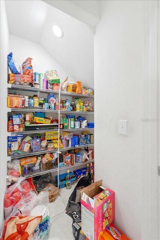 4306 SALT SPRINGS LANE, Lakeland, FL 33811