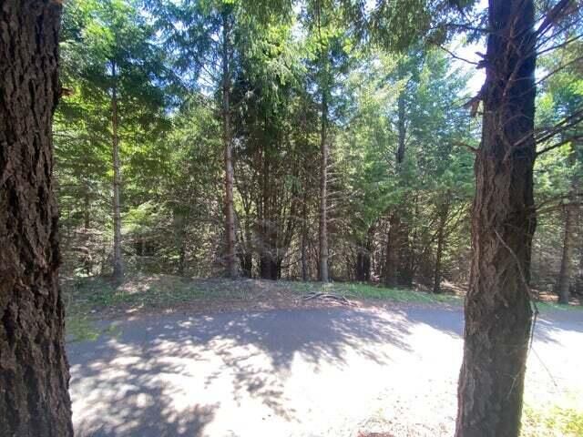 247 Muskrat Circle, Shelter Cove, CA 95589