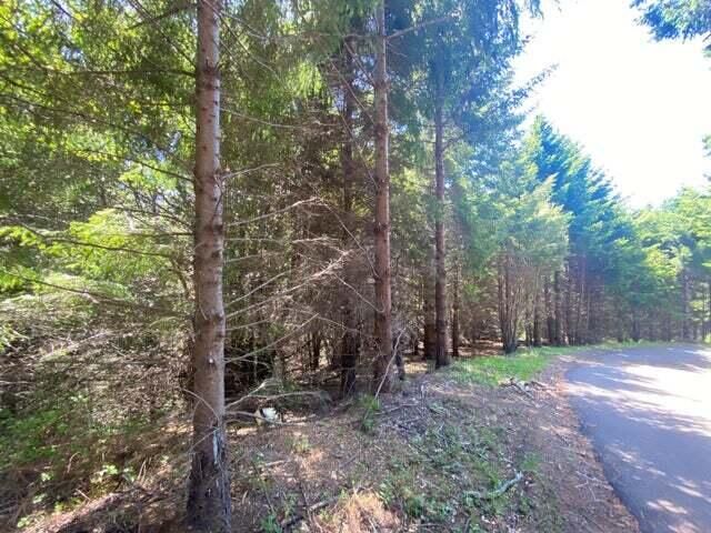 247 Muskrat Circle, Shelter Cove, CA 95589