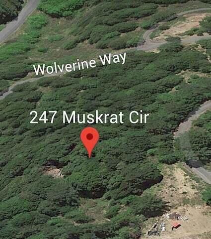 247 Muskrat Circle, Shelter Cove, CA 95589