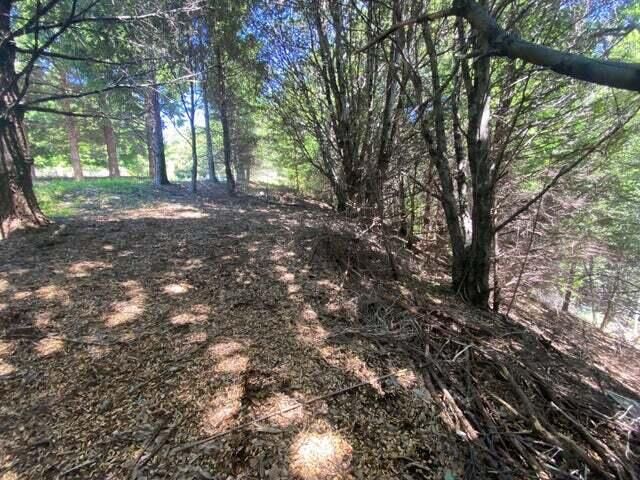 247 Muskrat Circle, Shelter Cove, CA 95589