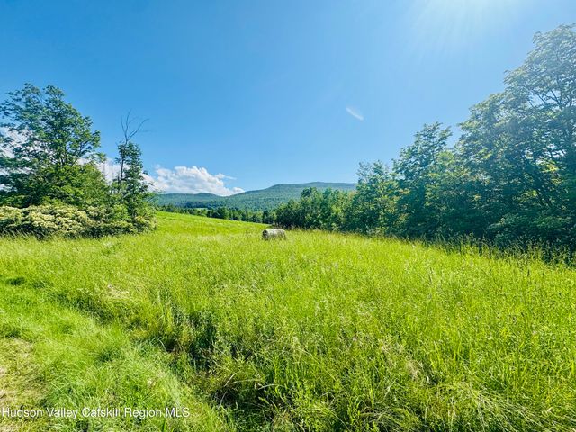 183 Pratt Road, Cornwallville, NY 12418