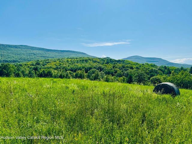 183 Pratt Road, Cornwallville, NY 12418