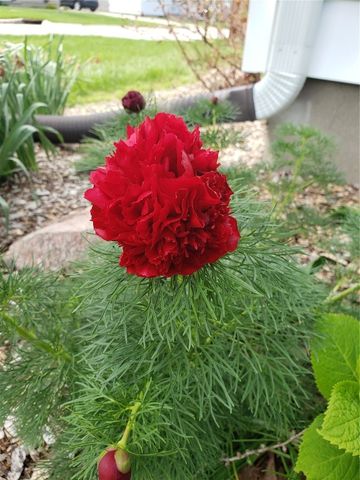 1410 25th Street, Marion, IA 52302