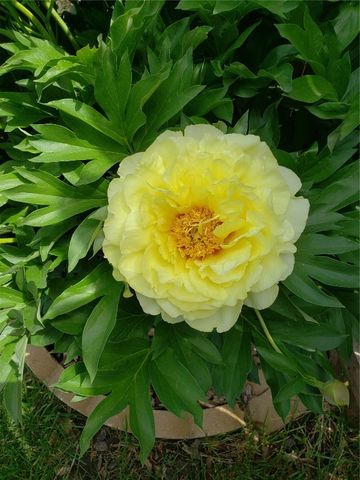 1410 25th Street, Marion, IA 52302