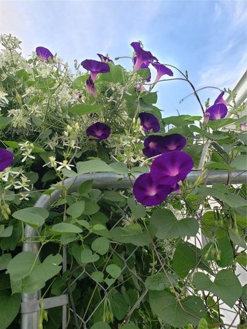 1410 25th Street, Marion, IA 52302