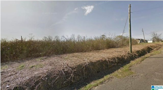 220 SHERIDAN ROAD, Birmingham, AL 35214