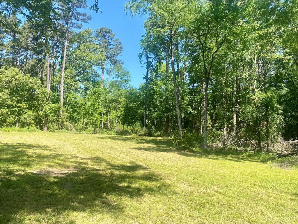 TR 29 Oak Pine Drive, Livingston, TX 77351