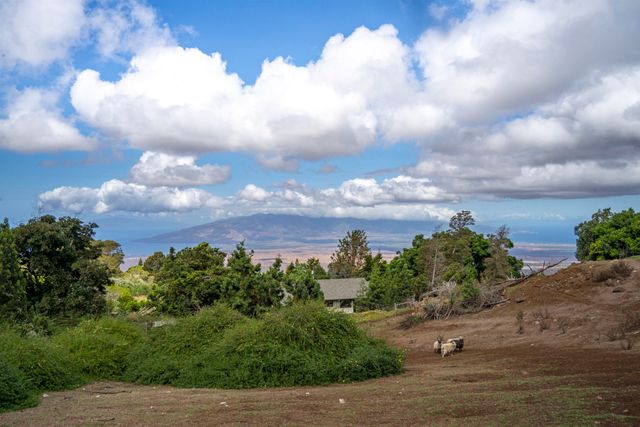 850 Kekaulike Ave Unit B, Kula, HI 96790