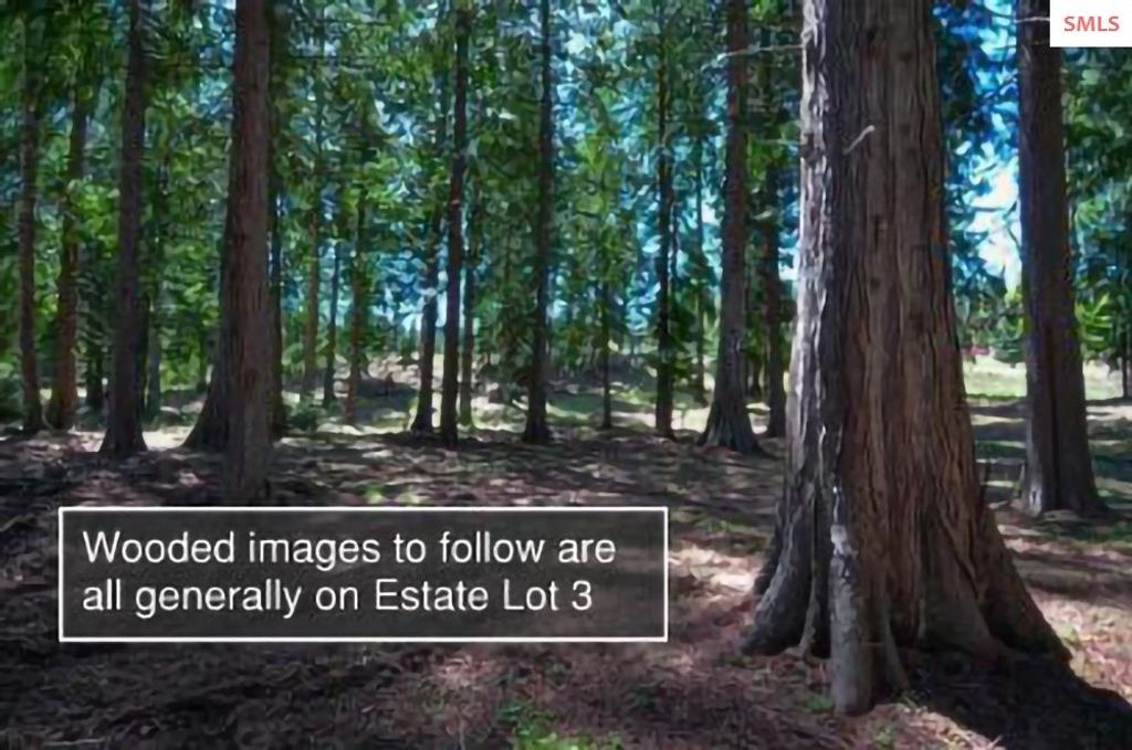 Est Lot 3/4 Camp Bay Estates, Sagle, ID 83860 photo 12