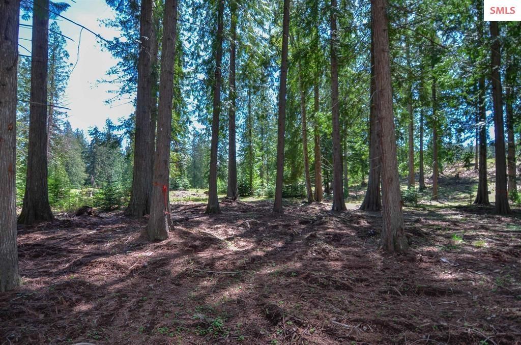 Est Lot 3/4 Camp Bay Estates, Sagle, ID 83860 photo 14