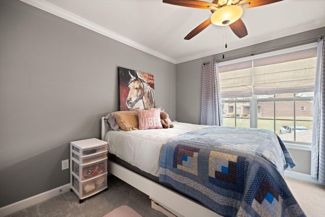 717 Newtown Springs Drive, Lexington, KY 40511