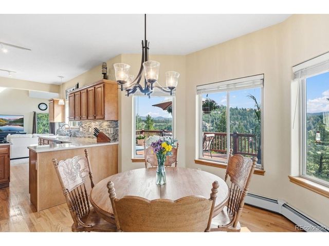 163 Old Corral Rd, Bailey, CO 80421