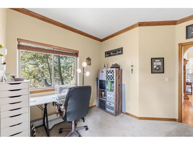 163 Old Corral Rd, Bailey, CO 80421