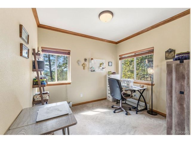 163 Old Corral Rd, Bailey, CO 80421