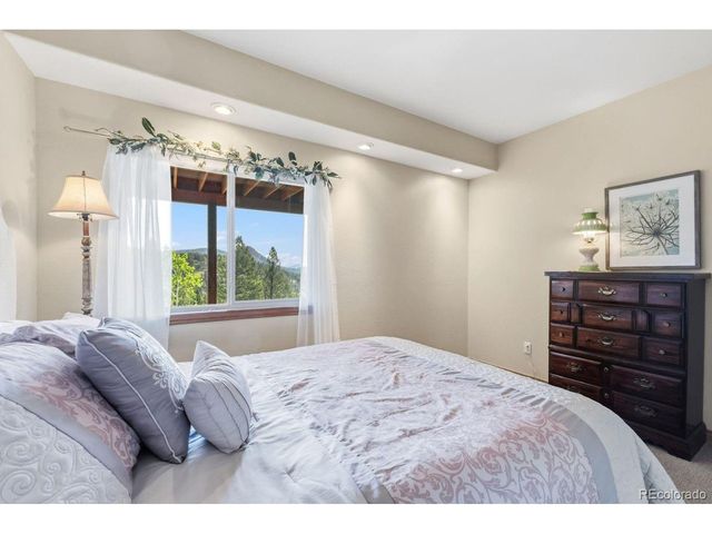 163 Old Corral Rd, Bailey, CO 80421