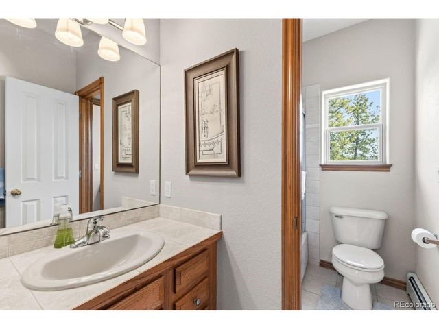 163 Old Corral Rd, Bailey, CO 80421