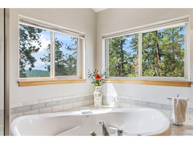 163 Old Corral Rd, Bailey, CO 80421