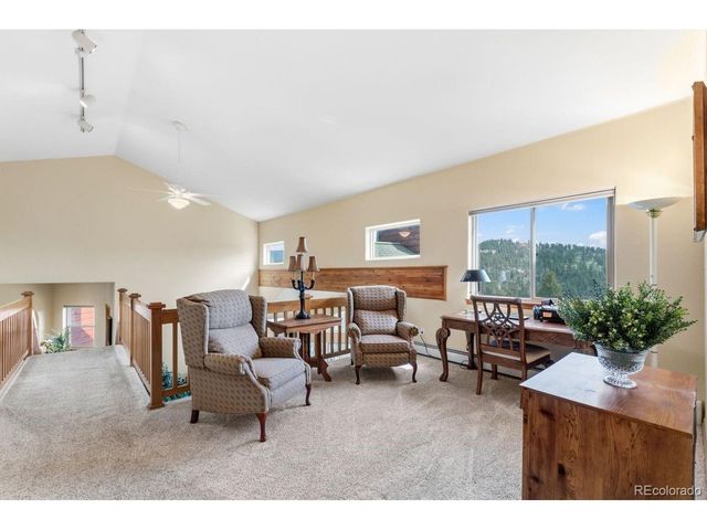 163 Old Corral Rd, Bailey, CO 80421