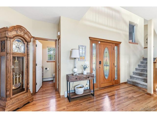 163 Old Corral Rd, Bailey, CO 80421