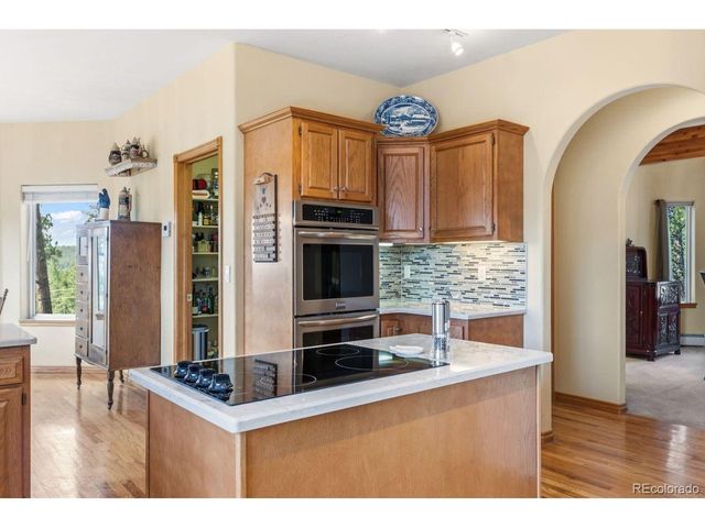 163 Old Corral Rd, Bailey, CO 80421