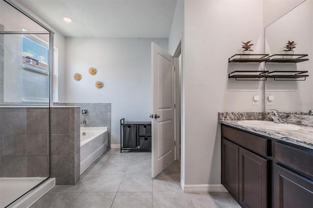 16619 GOOSE RIBBON PLACE, Wimauma, FL 33598