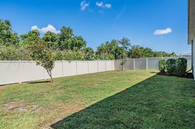 16619 GOOSE RIBBON PLACE, Wimauma, FL 33598