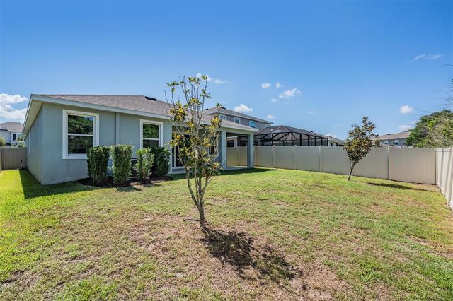 16619 GOOSE RIBBON PLACE, Wimauma, FL 33598