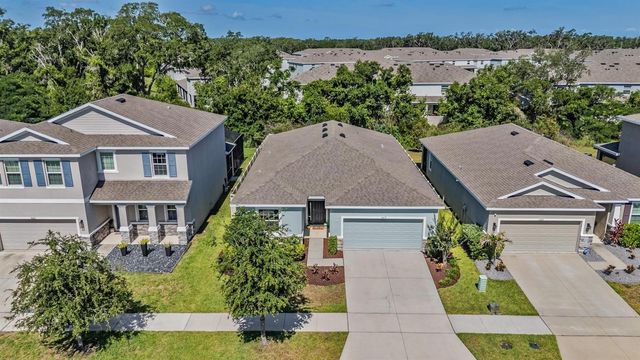 16619 GOOSE RIBBON PLACE, Wimauma, FL 33598
