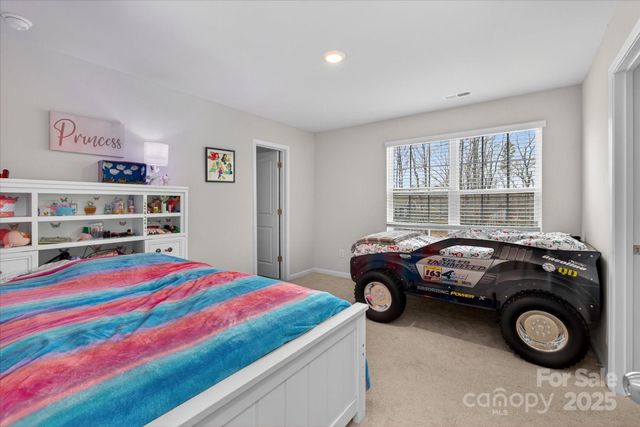 13017 Cinnamon Fern Lane, Mint Hill, NC 28227