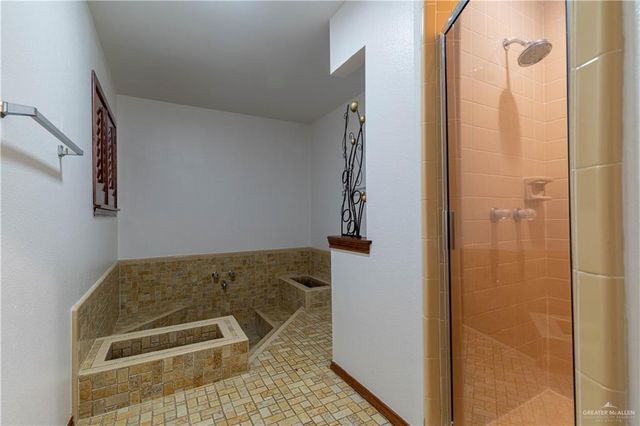 313 Xanthisma Avenue, Mcallen, TX 78504