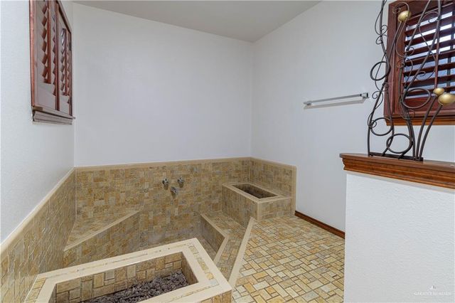 313 Xanthisma Avenue, Mcallen, TX 78504