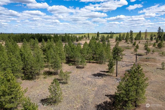 7 Lot Prairie Lane, Creston, WA 99117