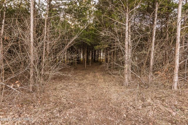 11565 COUNTY ROAD 385, Holts Summit, MO 65043