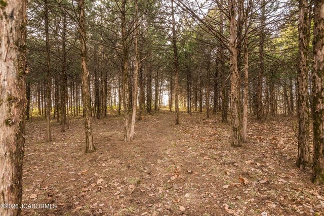 11565 COUNTY ROAD 385, Holts Summit, MO 65043